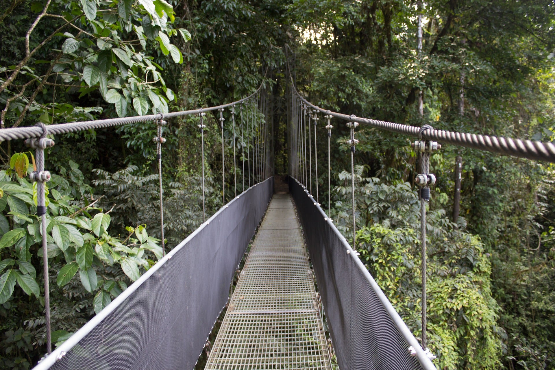 January's travel guide